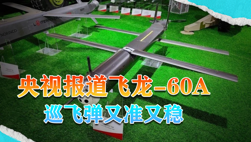 白敬亭章若楠破冰第一课,管家婆免费资料大全最新五行,创造力策略实施推广_至尊版V10.85